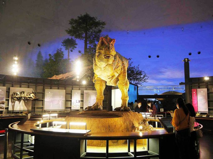世界3大恐竜博物館の一つ「福井県立恐竜博物館」へ
