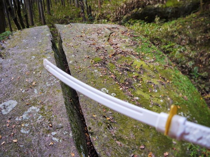 �R���ɐÂ��ɘȂސ^����Ɋ��ꂽ�`���̋���