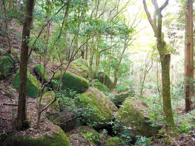 �����͌×����狐�΁E����M�̂������_��I�Ȑ���