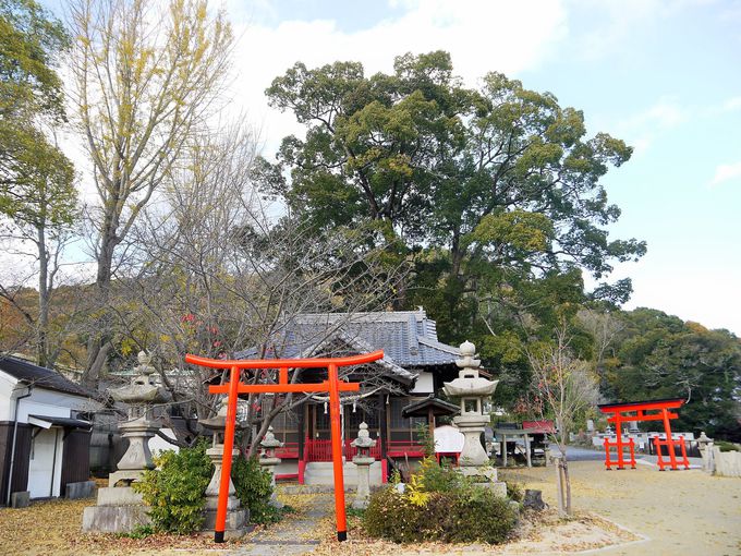戦国武将の福島正則ゆかりの大島神社