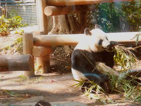 p_ȂIy߂铌sE쓮̊yݕ̋LTlC