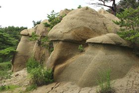 ���E��Y�J�b�p�h�L�A�������ɁH�S�R�s�E��y�������̂��̂���̋L���T���l�C��