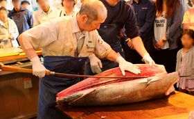 2̈ʊJŃn}̎s\悤Ilss{̋LTlC