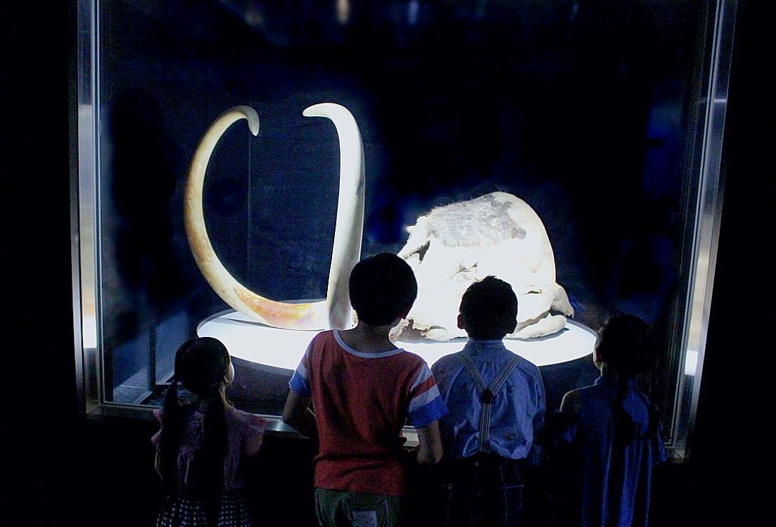 Be][₨yYR[i[YꂸɁI