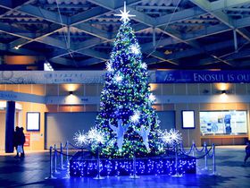神奈川県・新江ノ島水族館「ヒカリノエノスイfinal」でクリスマス