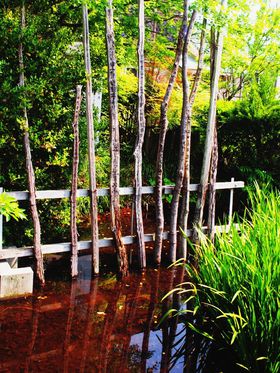 ��m���A�����䂩��̃p���[�X�|�b�g�u��ԑ�V�v�ւ̋L���T���l�C��