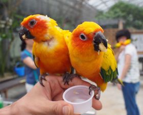 Ƒ݂ȂŊyIÉu|Ԓv̓OXC[c[̋LTlC