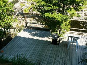 �����ŏ����ɐl�C�̉Ƒ����A���̃��P�́H�u���ꂢ��̓��v�̋L���T���l�C��