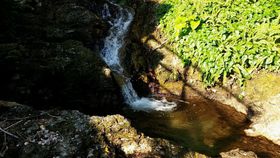 ���ꂪ�������̔铒�I�g�J���̌��ցE�\�������V���u�Z�����}����v�̋L���T���l�C��