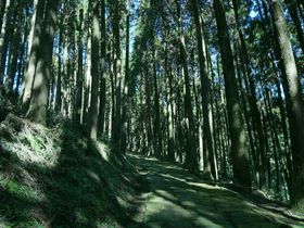 ǂ񃍃Pn߂Iǎs͑̓h}̐nI̋LTlC