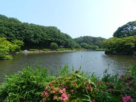 �~�j�����������鎩�R�����B�T���̓J���Z�~�̂��މ��l�E��r�����ցI�̋L���T���l�C��