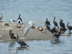 �H�c��`���ڂƕ@�̐�I�����p�̒��̊y���u�����`�쒹�����v�ɍs�����̋L���T���l�C��