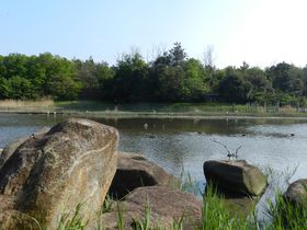 �����s���[�́u�����ՊC�����v�Ńo�[�h�E�H�b�`���O�𖞋i���悤�̋L���T���l�C��