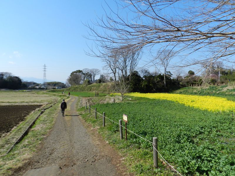 かつての農風景がここに！ 神奈川・茅ヶ崎里山公園で鳥探し