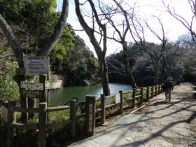 �������~���������K��銙�q�s�̔鋫�B�U�݃K�r�X�ь����ւ̋L���T���l�C��