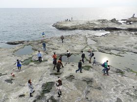 �ό��n�E�]�m���́u�����v�ɒ��ځI ��̐������̂�T�����̋L���T���l�C��