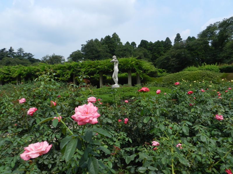バラと野草に満ちた東京屈指の花の楽園「神代植物公園」へ！