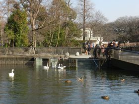 �֓��̐��ӂ̐������̂��W���I ��̓����R������ ���������̋L���T���l�C��