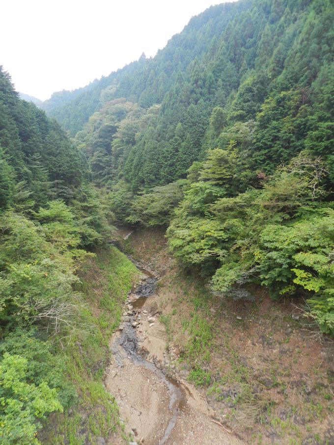 眼下に見下ろす大渓谷！ これでも神奈川県内です