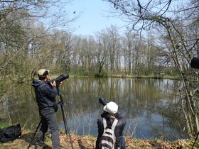 ʌr여̏HŃqWNT̋LTlC