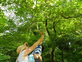 東京・目黒　緑のオアシス「目黒自然教育園」を散策しよう