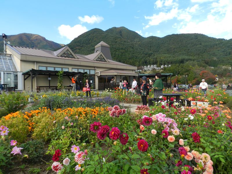 RŒn拤ʃN[|gόX|bg܂Ƃ