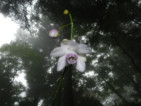 sw̃QVE}̖ xRŉẴnCLOI̋LTlC