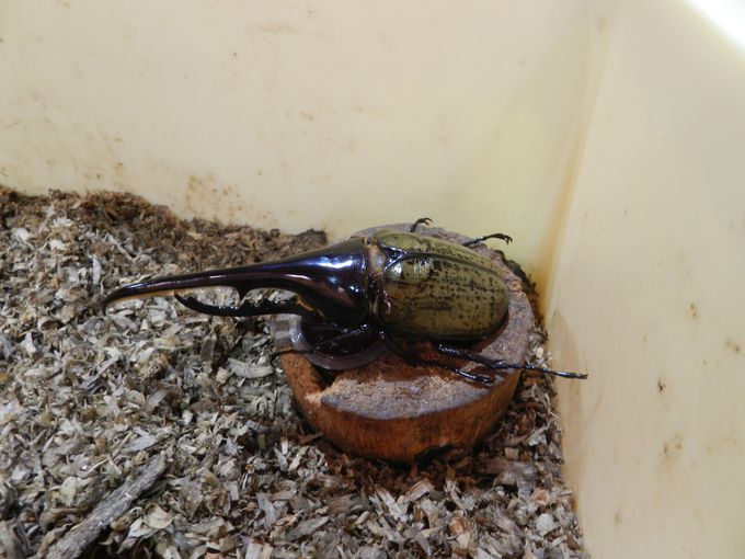 IITLZ^[ōƂ̕炵m낤