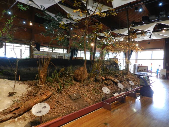 IITLZ^[ōƂ̕炵m낤