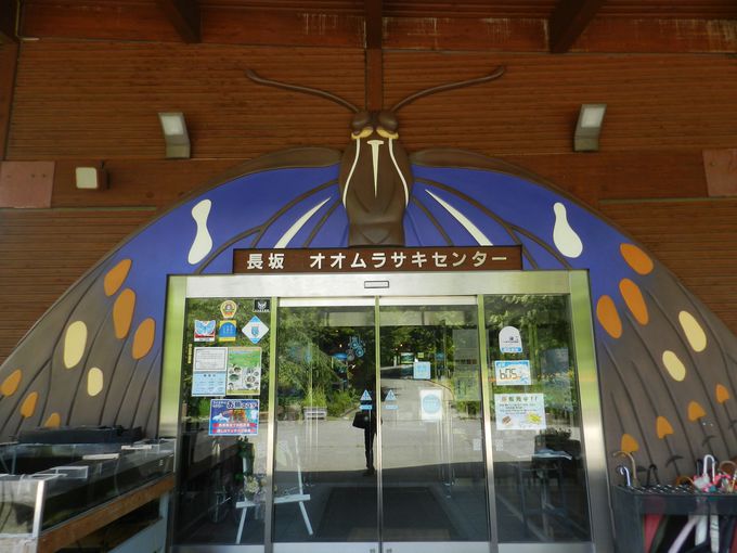 IITLZ^[ōƂ̕炵m낤