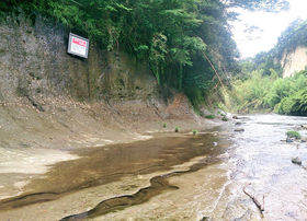 u`ojAvĉHtssunt]̒nwv͂ȂƂI̋LTlC