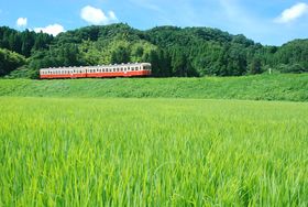 [JSŖ[fIRi̒ŐS闷̋LTlC