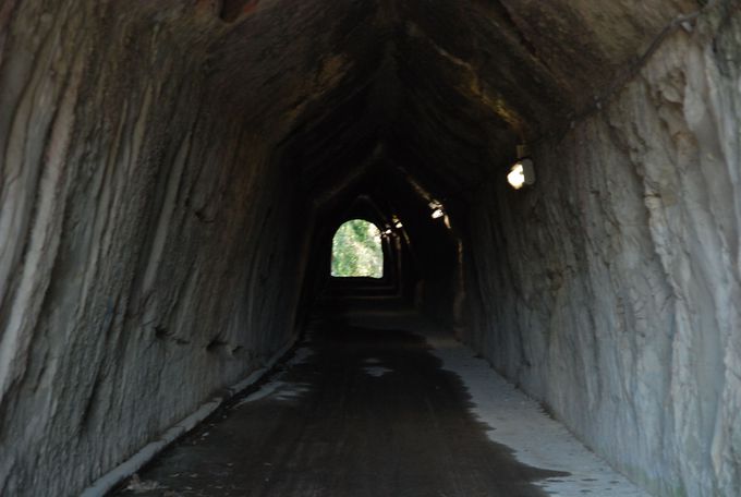 夏でもヒンヤリ、房総名物の素掘りのトンネル