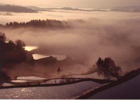 �������u���R�~����A�[�g�v�V���E�z��ȗL�����闷�̋L���T���l�C��