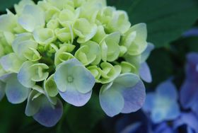 �t���珉�Ă������I��t���Ό��s �ԏ���ʂ�X�|�b�g�x�X�g�R�̋L���T���l�C��