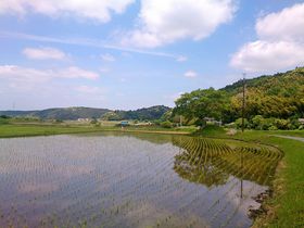 R𔲂Ė̐XցItssuđ̐XvEH[LŐLTlC