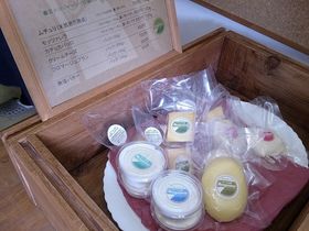 酪農の里で美味しいチーズ探し！千葉県いすみ市のチーズ工房を巡る