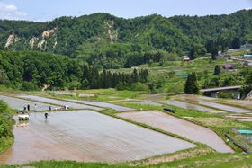 ���k����̃X�P�[���I�R�`���u�l�����I�c�v�ŐS�g���t���b�V���̋L���T���l�C��