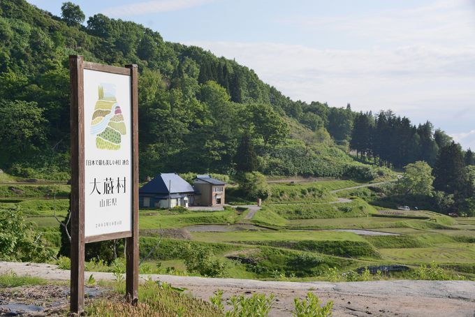 東北随一のスケール 山形県 四ヶ村棚田 で心身リフレッシュ 山形県 Lineトラベルjp 旅行ガイド