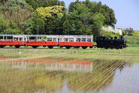 RgbRɏă`ojAցItsMI̋LTlC