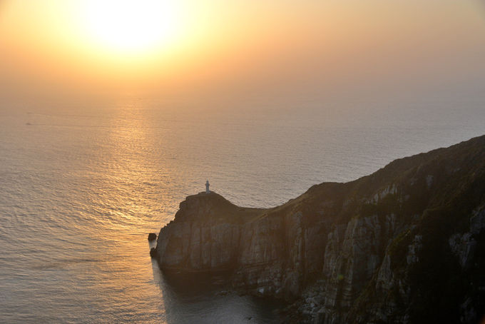 A蓹ɐ肽I[ޑ吣蓔̐i