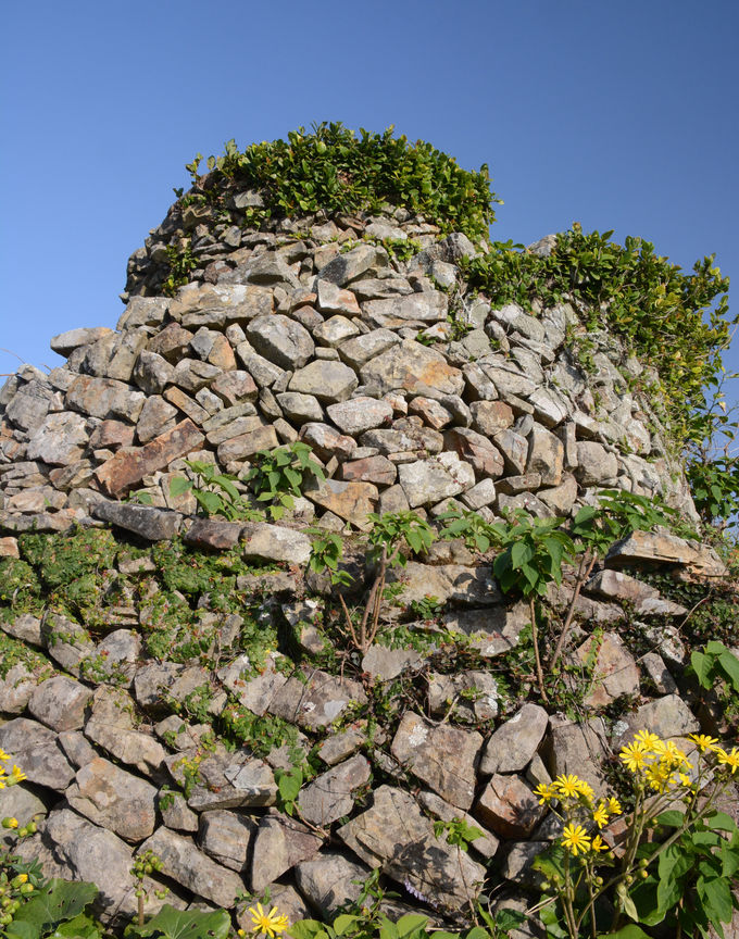 Rɂ͐ΐς݂̓W]BɗɏI