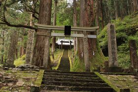 �s�ҋA���̊₪�j�ސ_��̉��̉@�I�Ȗ،��u���h�R�_�Ёv�̋L���T���l�C��