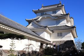 ]ˎ̊X݂Ɨ{VkJI[ER̊Xu命쒬v̋LTlC