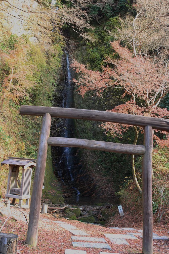 最奥の金神の滝は落差３５メートルの新名所！自然が削り出した養老渓谷