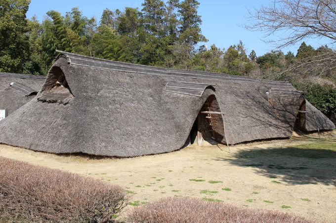 奈良時代、蝦夷征討の武器製作の兵站基地であった「鹿の子Ｃ遺跡」