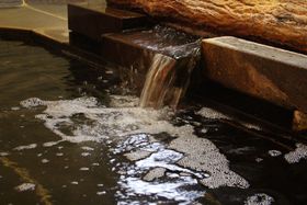 �S�������l�̏h�𔭌��I�u���t�H�[����y�� �������� ���̐��v�̋L���T���l�C��