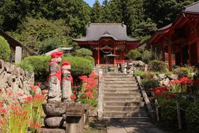 Eފ݉Ԃɐ܂Ԃ̂uyviԂ̎SȖ6ԎDj̋LTlC