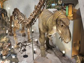 46億年の地球から始まる！群馬県立自然史博物館で、群馬の自然史を学ぼう