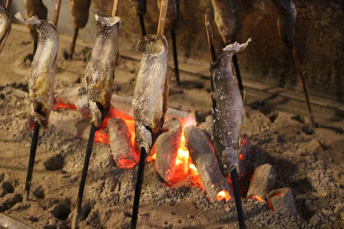 YRVqJƎR̍KIHŃfgbNX